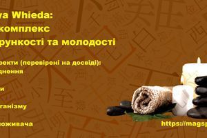 Мінісауна Ба-Гуа Whieda: Домашній SPA-комплекс для детоксу, стрункості та молодості фото