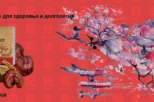 Капсулы Линчжи Фохоу: Сила &laquo;гриба бессмертия&raquo; для здоровья и долголетия фото
