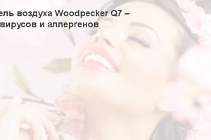 Іонізатор-очисник повітря Woodpecker Q7 &ndash; чисте повітря без вірусів та алергенів фото