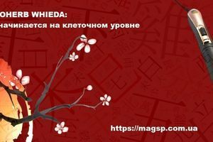 Активатор клітин FOHERB: Здоров'я, що починається на клітинному рівні фото