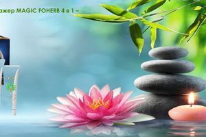 Розумний портативний масажер MAGIC FOHERB 4 в 1 &ndash; ваш сімейний лікар фото