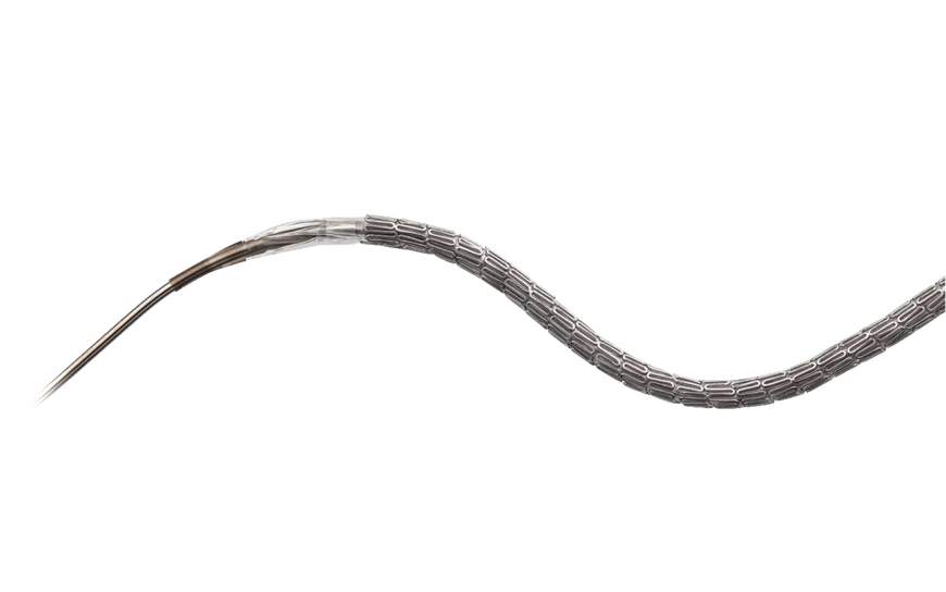 Коронарная система с покрытием (зотаролимус) Onyx TruCor (Medtronic) Onyx TruCor фото