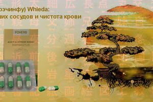 Капсулы Феникс (Сюэчинфу) Whieda: Тройная защита ваших сосудов и чистота крови фото