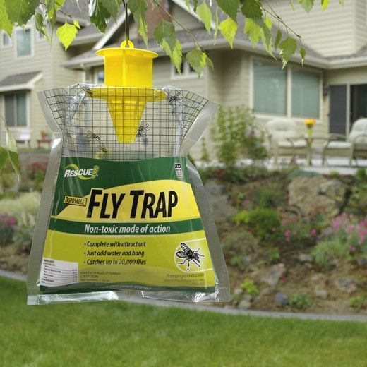Ловушка для мух с аттрактантом Fly Trap FT 001 38620959 фото