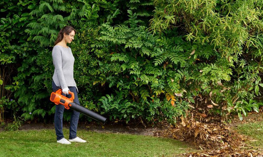 Воздуходувка аккумуляторная BLACK+DECKER BCBL200L 17960 фото