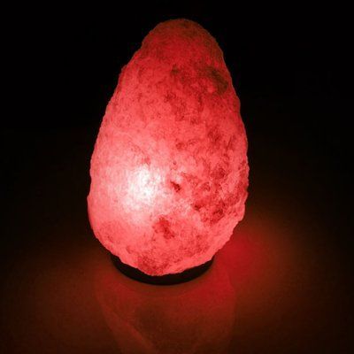 SALTKEY ROCK Gigant Red 05107 фото