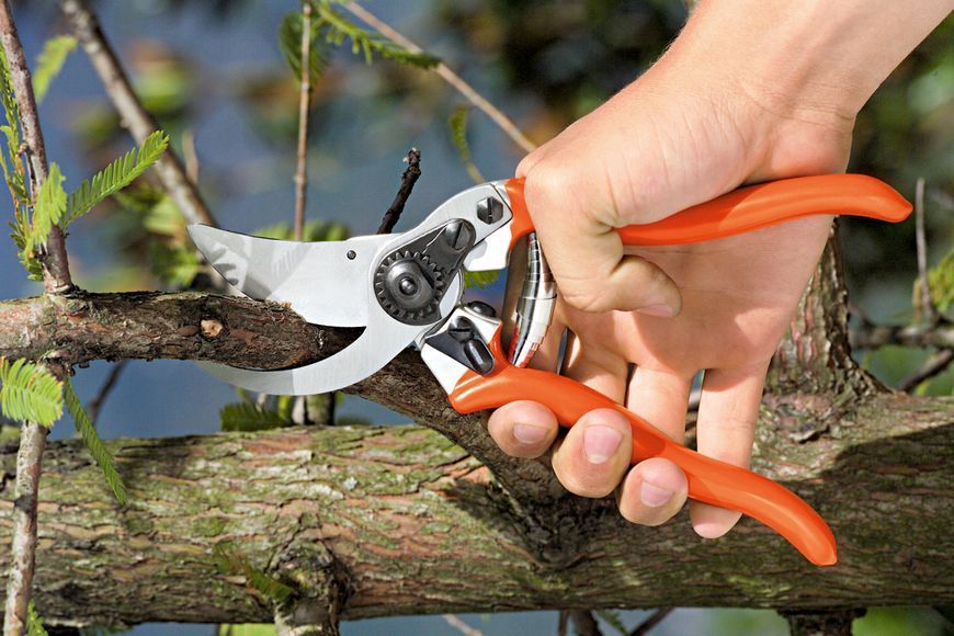 Садовий секатор Stocker 350 Profi 20 обвідний (Штокер) Stocker 350 Profi 20 фото